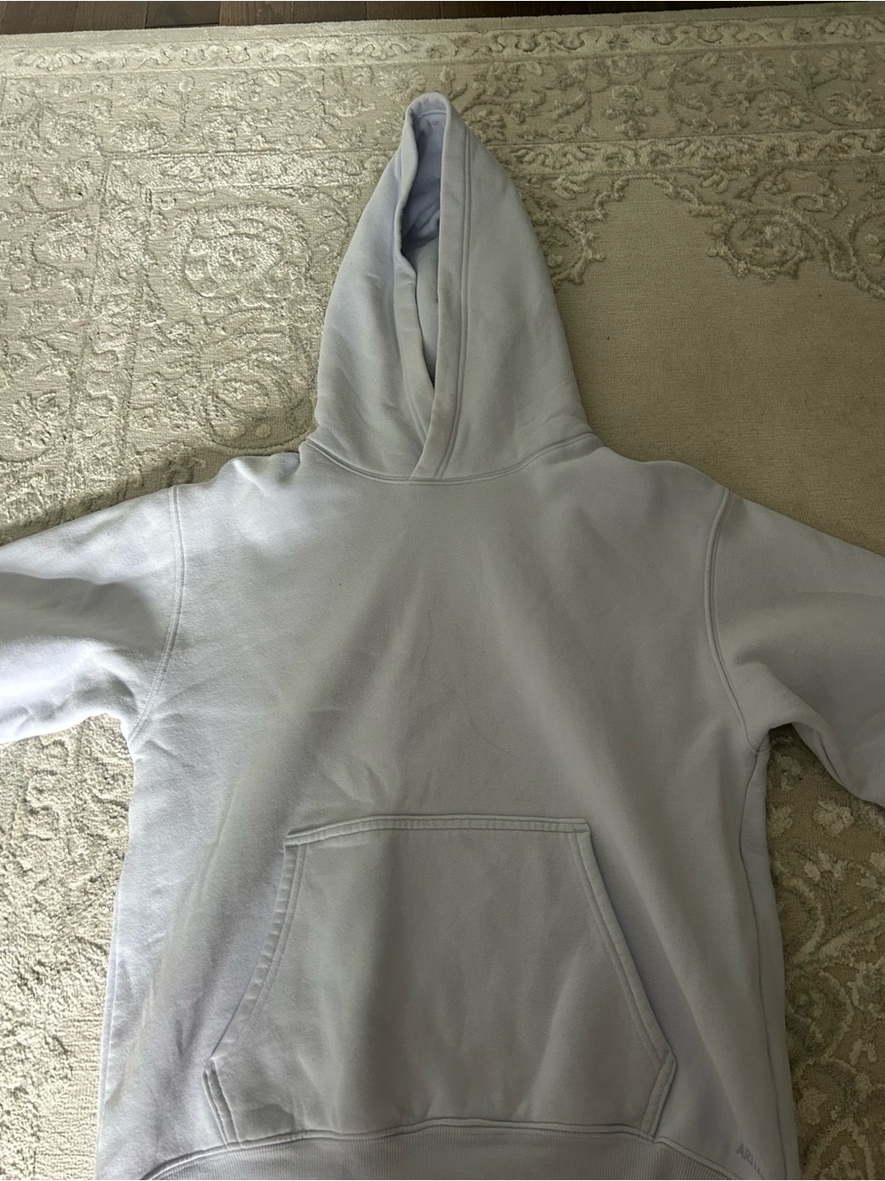 Aritzia Pale Blue hoodie